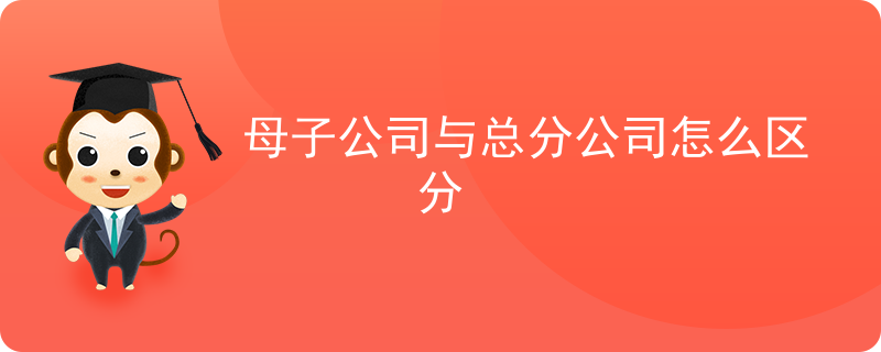 怎么区分母子公司和总分公司？