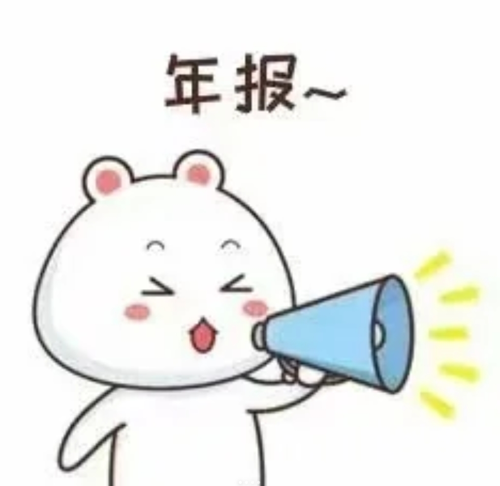 2024年的执照年报开始啦