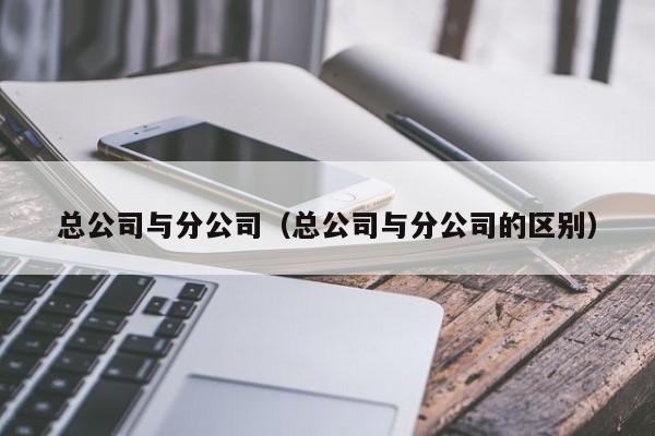 分公司的特点